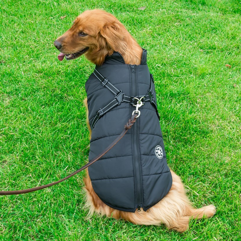 Chaleco de Algodón para Perros