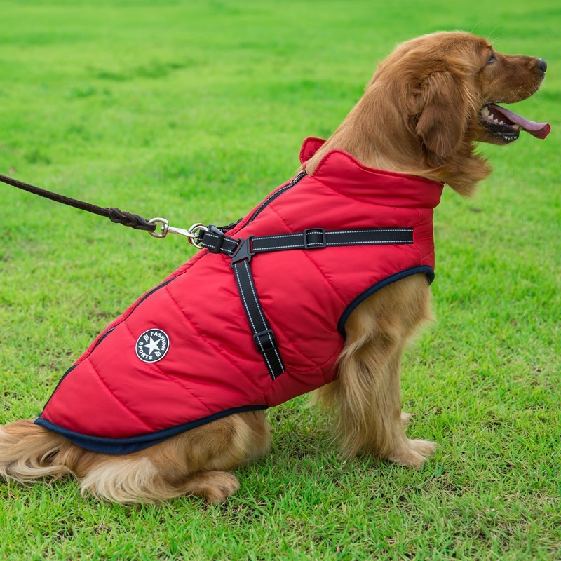 Chaleco de Algodón para Perros