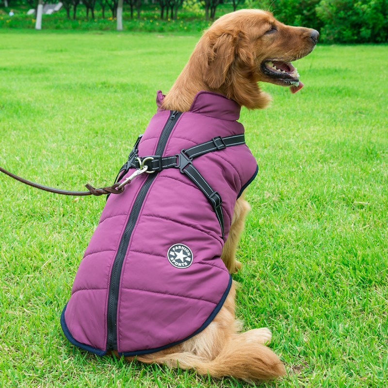 Chaleco de Algodón para Perros