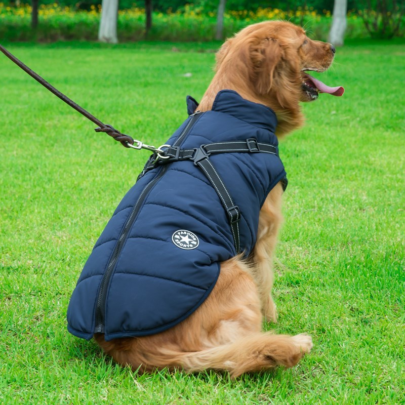 Chaleco de Algodón para Perros