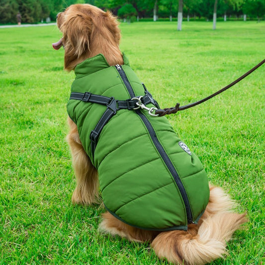 Chaleco de Algodón para Perros