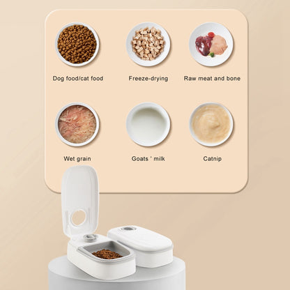 Comedero Automático para Mascotas – Dispensador de Alimento Inteligente