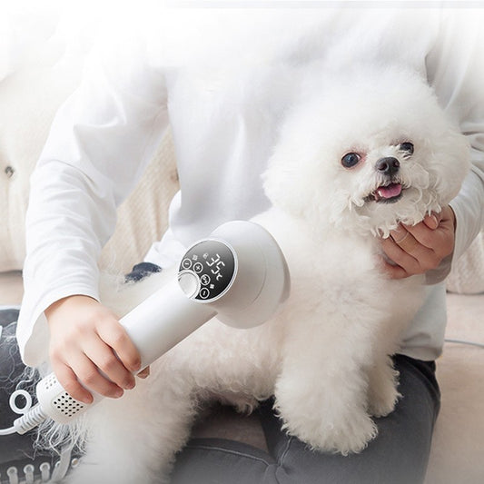 Secador Inteligente para Mascotas