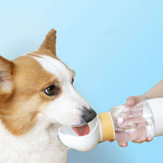 Dispensador de Agua Portátil para Perros